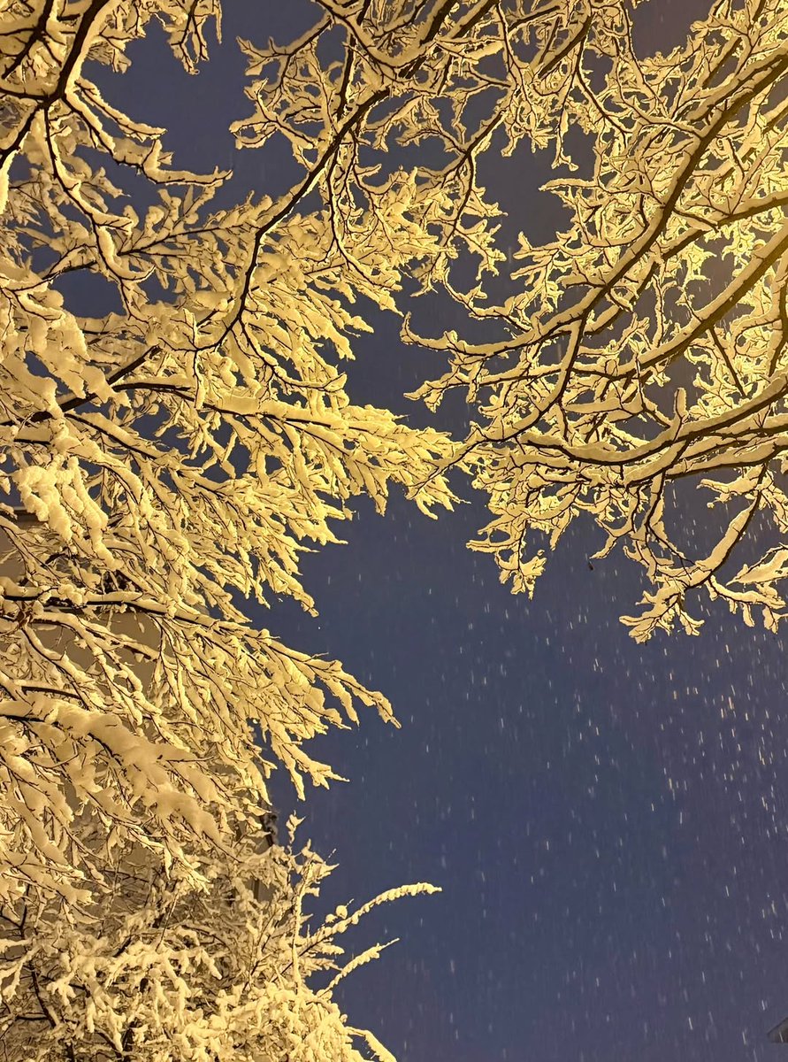 briann402's tweet image. Snow falls softly on a German street—streetlight turns frost to gold, night wrapped in quiet. In stillness, I find life’s poetry: not in chasing, but in seeing. Even the coldest seasons teach us to carry light within.

#WinterInGermany  #StreetLightMagic ✦ #SnowyReflections