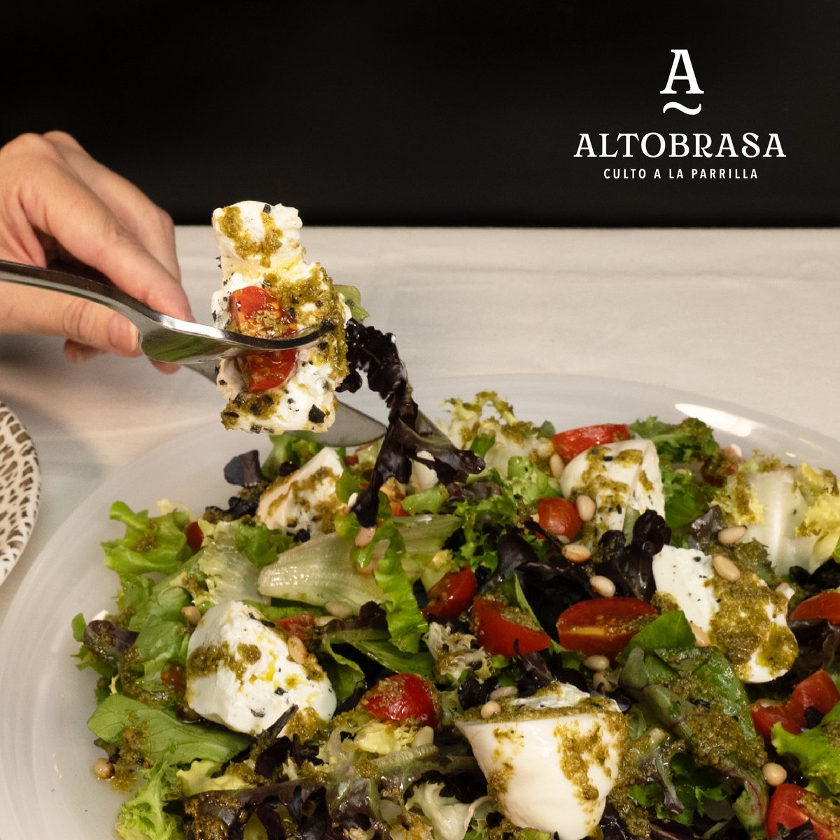 altobrasa's tweet photo. Cuando el calor empieza a asomar, el cuerpo pide frescura y sabor 🤍

𝐍𝐮𝐞𝐬𝐭𝐫𝐚 𝐞𝐧𝐬𝐚𝐥𝐚𝐝𝐚 𝐝𝐞 𝐛𝐮𝐫𝐫𝐚𝐭𝐚 𝐞𝐬 𝐞𝐬𝐞 𝐞𝐧𝐭𝐫𝐚𝐧𝐭𝐞 𝐩𝐞𝐫𝐟𝐞𝐜𝐭𝐨 𝐩𝐚𝐫𝐚 𝐚𝐛𝐫𝐢𝐫 𝐛𝐨𝐜𝐚.

Ligera, fresca y llena de matices: ideal para empezar la experiencia Altobrasa🌿 https://t.co/1fo8KIEdnI