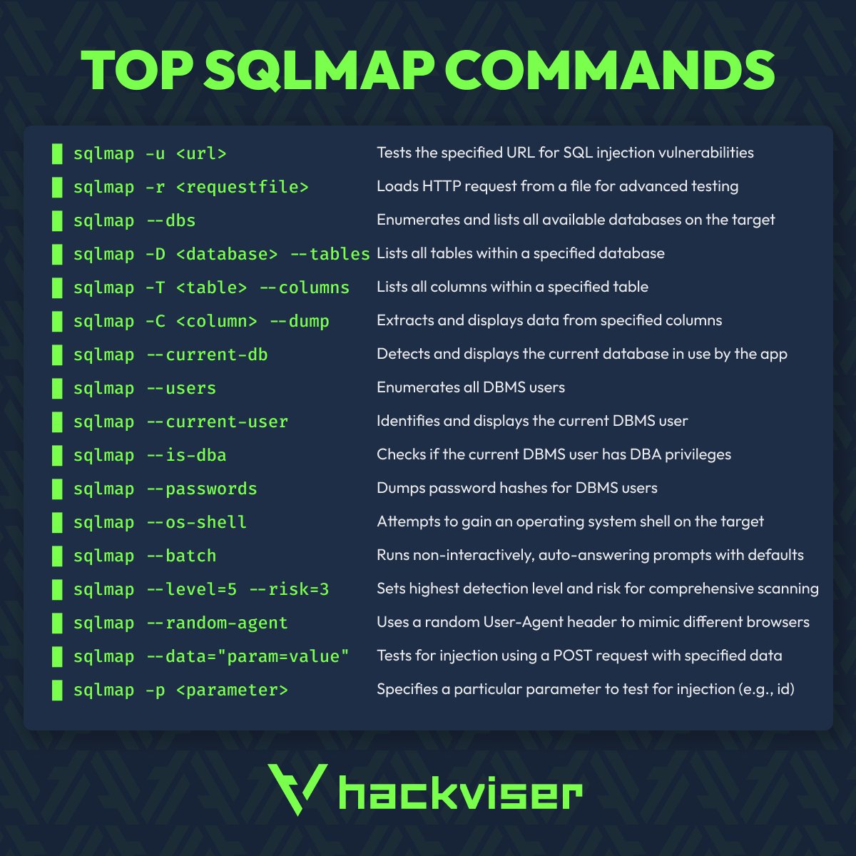 Hackviser tweet media