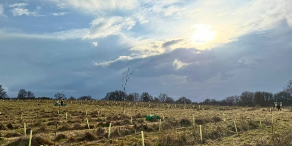 Forestry Commission tweet media