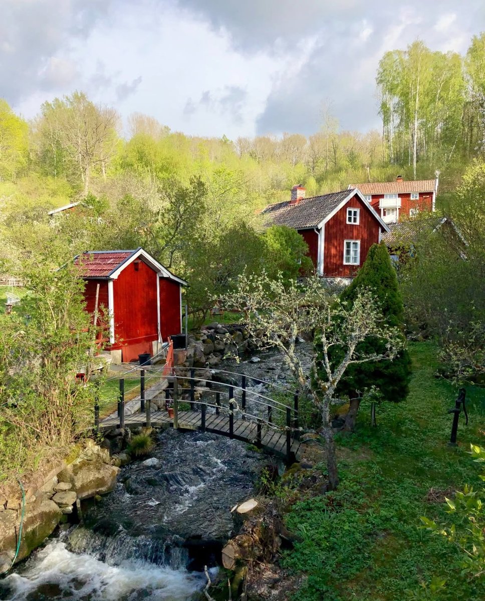 ScandinavianAE's tweet photo. Sweden 🇸🇪 https://t.co/krz9ITeOuy