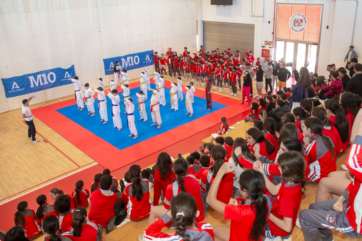 Andalucía es Deporte tweet media