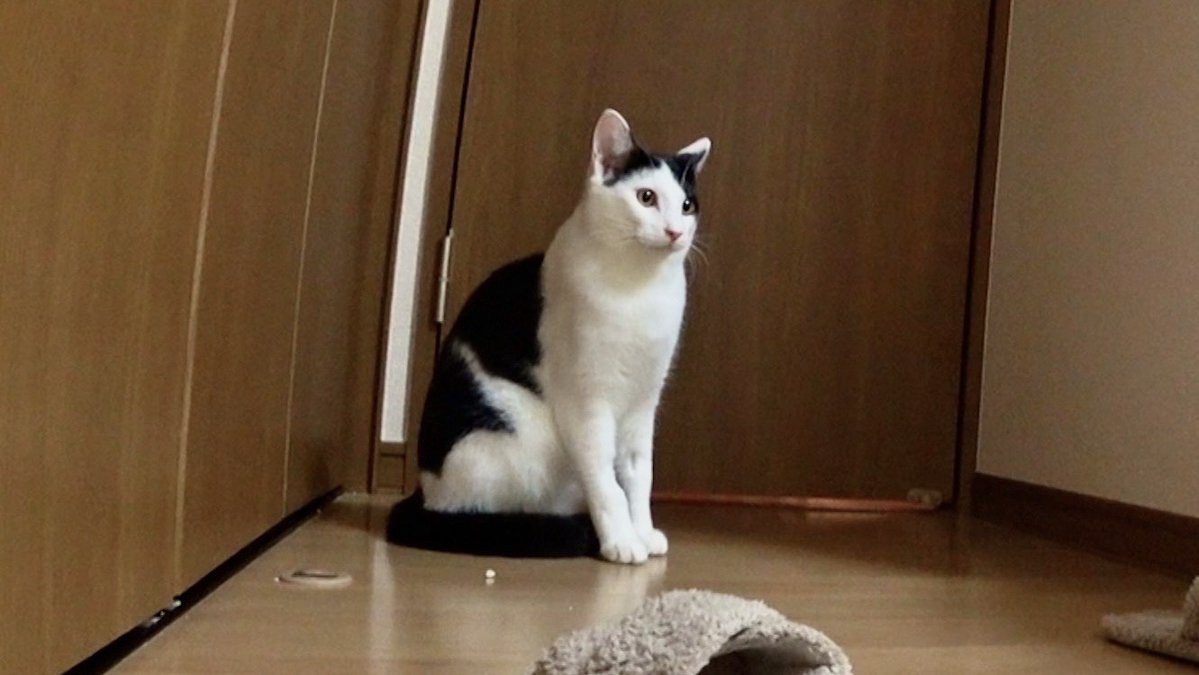 ちゃむママ (@mirei5799) / Posts / X