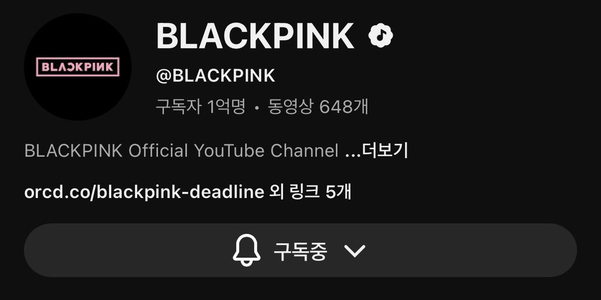 ㅁㅊ 전 세계 아티스트 최초라니,,, 앙 블핑뽕 차🫶🏻