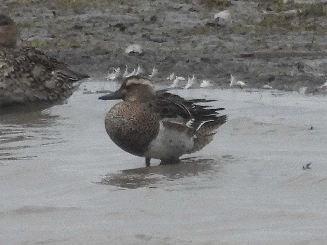 Paul Masters tweet media