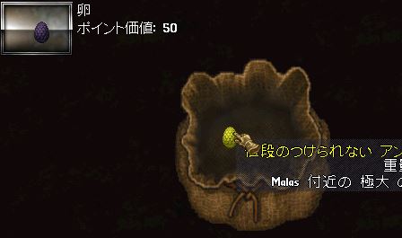 ボスから50p卵も出るようになったのかな？