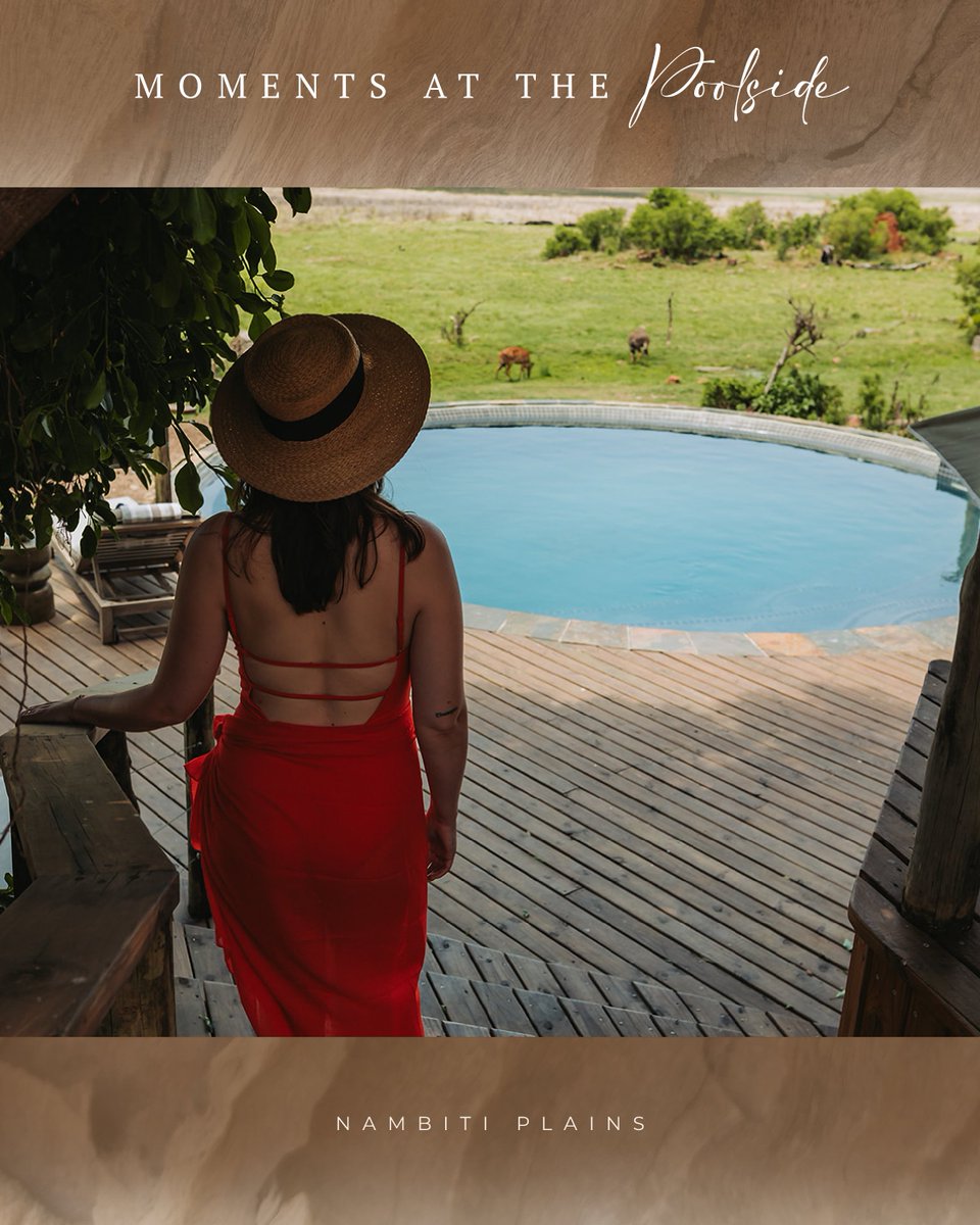 Step into the pool and watch wildlife move across the plains right in front of you.

Occasionally, elephants wander down for a drink. It’s one of those moments that stays with you for a lifetime.

#summer #pool #NambitiPlains #experiences #lodge #southafrica