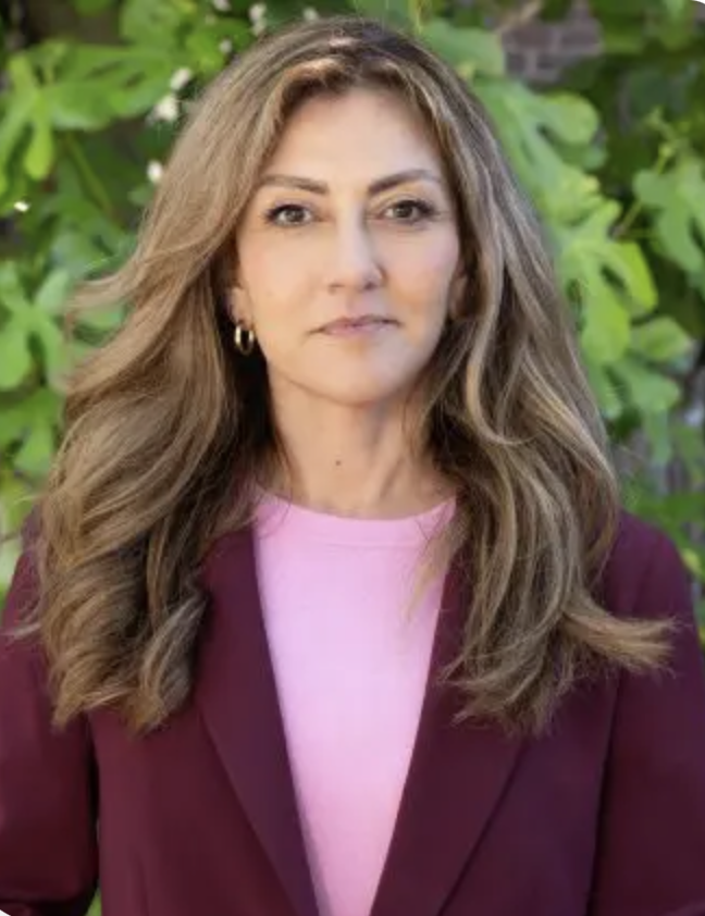 Ton F. van Dijk tweet media