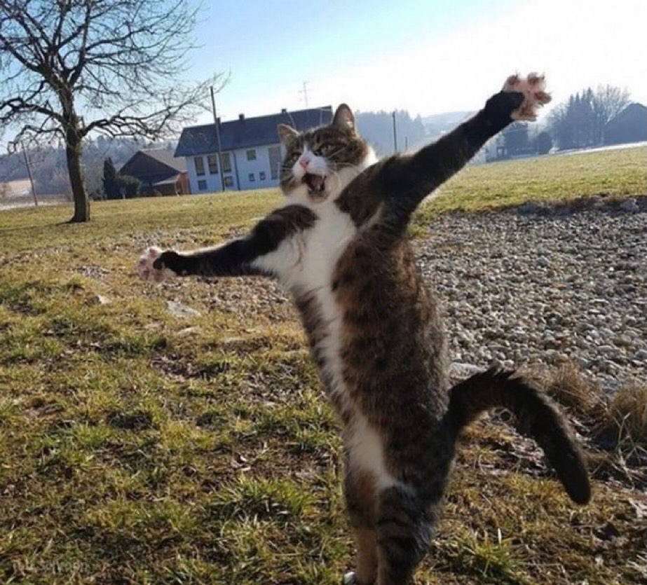 It's Friday!!