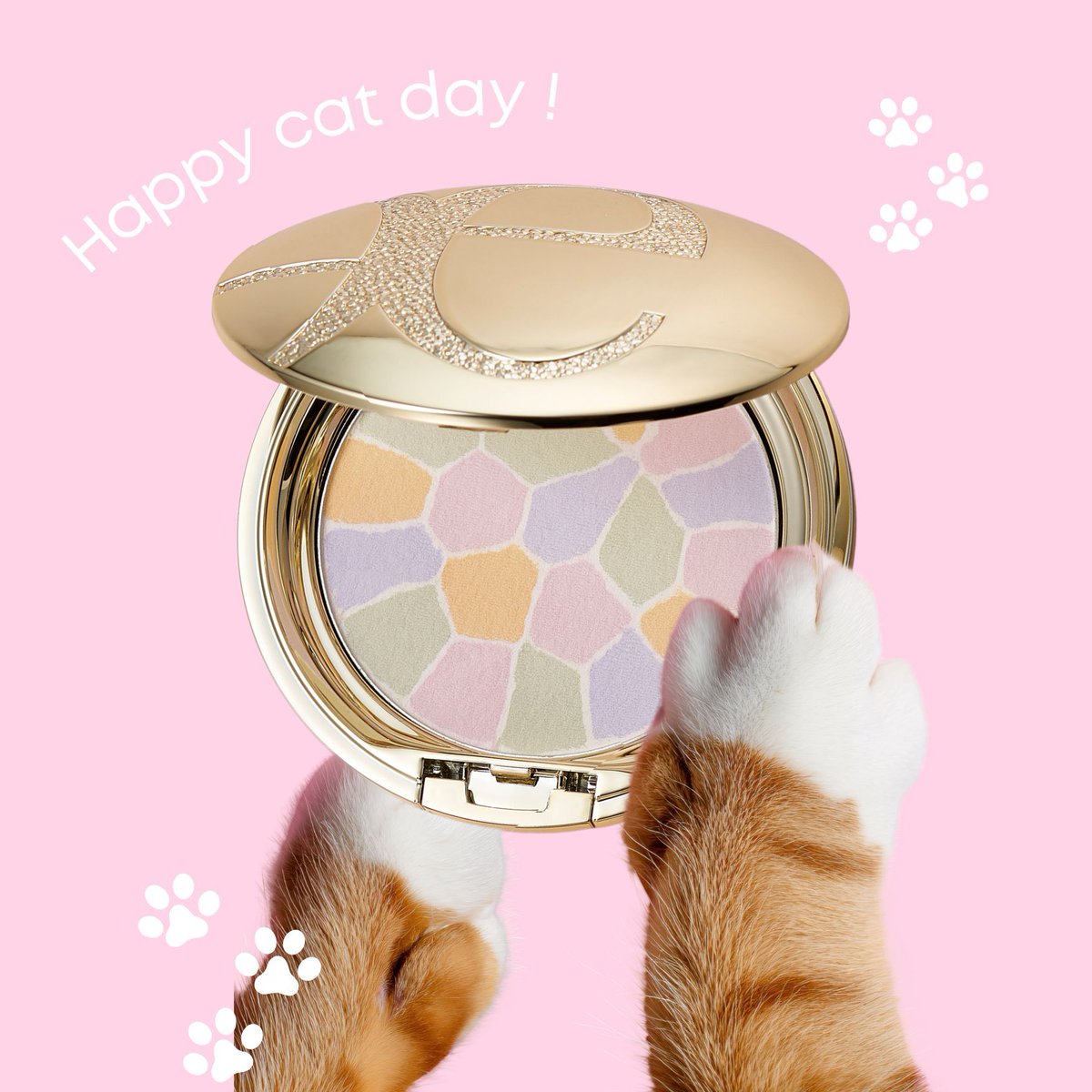 2/22は "ねこの日" 🐈
ねこちゃんもラ プードルに興味津々‥？🐾

#エレガンス
#ねこの日