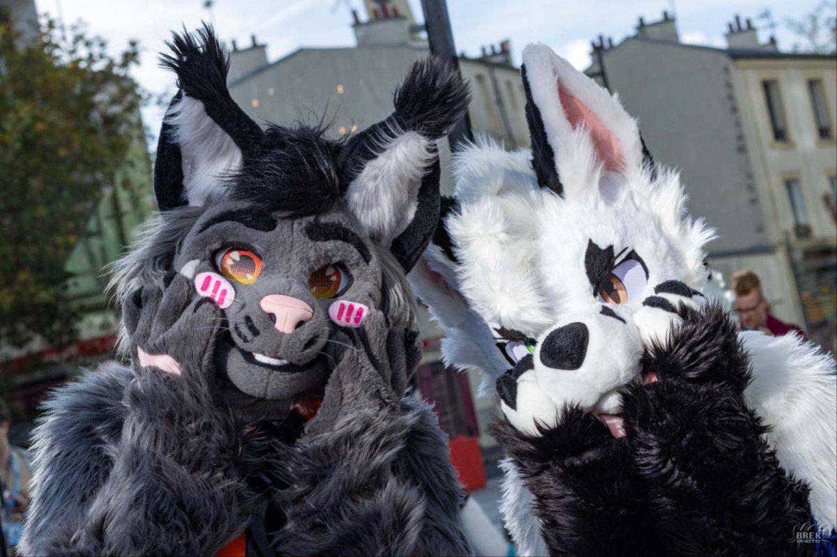"The audacity to call us cute to our faces! 😳"

📸 : <a href="/BrekWoof/">𝘽𝙍𝙀𝙆 ➡️NFC2026 🇸🇪 @brek.bsky.social</a> 
🐈‍⬛ : <a href="/Krymson_K/">Krym🐾</a> 

#FursuitFriday #FursuitEverday #kemono