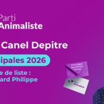 Photo by Béatrice Canel-Depitre - @ CanelBea (@CanelBea)