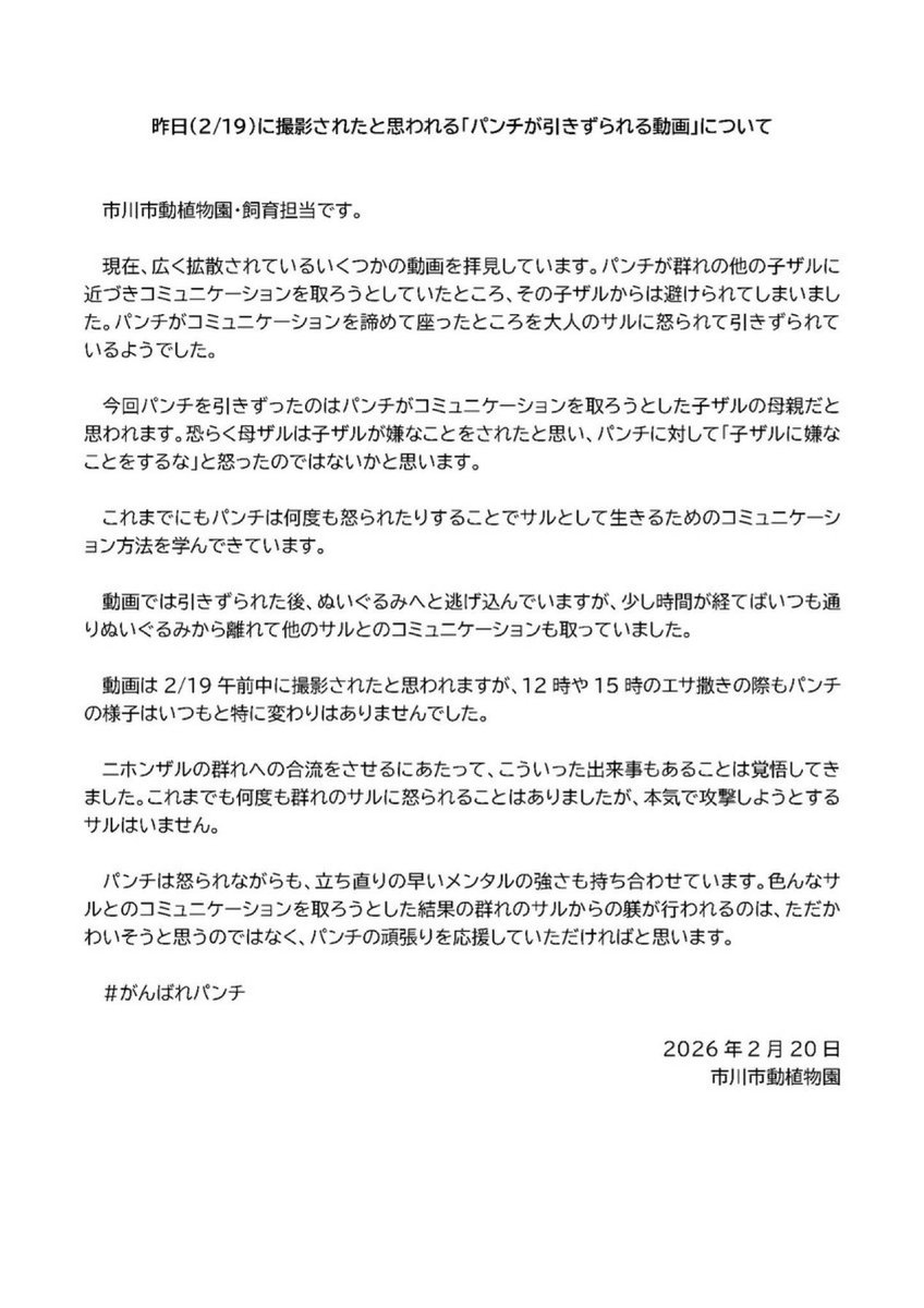 Maymun bebek Punch’ ın yaşadığı  hayvanat bahçesi dünkü olaylarla ilgili açıklama yaptı:

“Dün çekildiği düşünülen “Punch’ın kuyruğunun çekildiği video” hakkında:

Şu anda internette yaygın olarak dolaşan birkaç videoyu gördük. Punch, sürüdeki diğer bir yavru maymunla iletişim