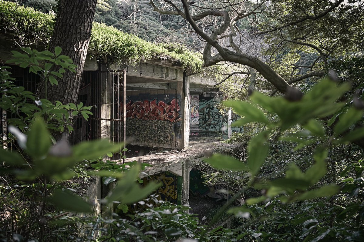 urbex47.🎥廃墟record tweet media