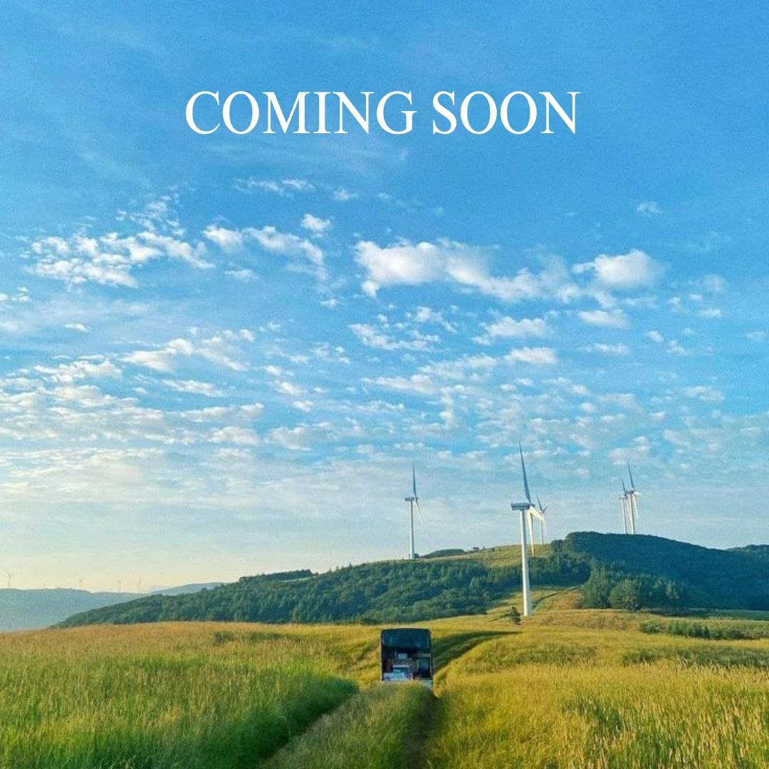 Bestays BCD tweet media