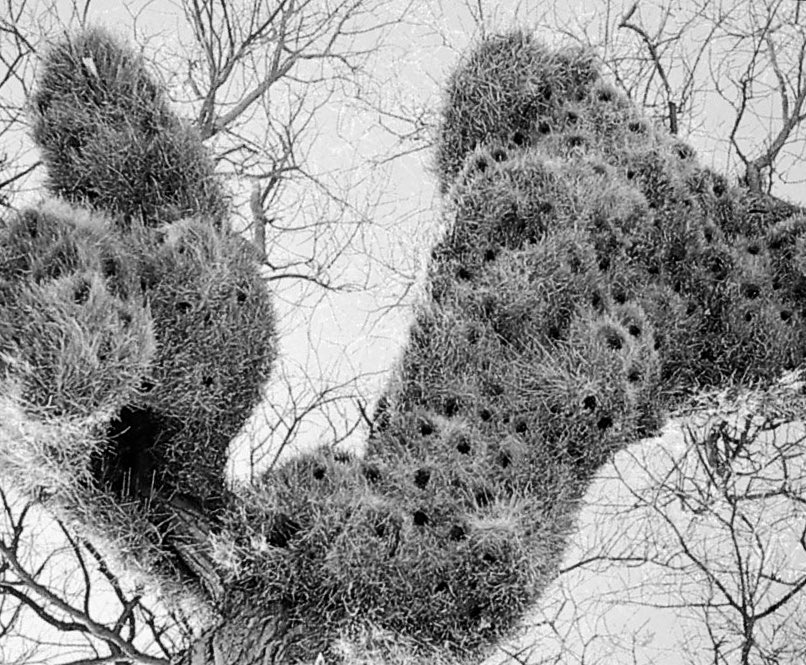 👷🏻‍♀️🏛️Reem Alqahtani tweet media