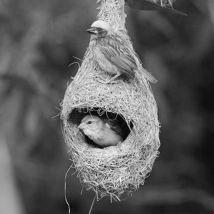 👷🏻‍♀️🏛️Reem Alqahtani tweet media