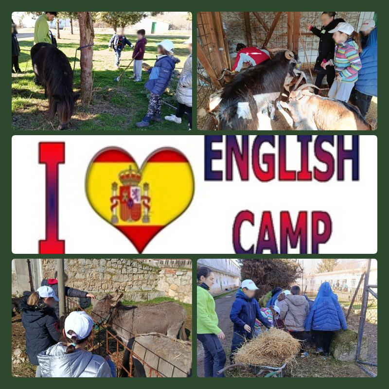 ColeNSVillar's tweet photo. English Camp 4º EP 🇬🇧
Atareadísim@s! Very busy!👩‍🌾👨‍🌾
Great activities.

#LanguageImmersion #bilingüescyl #CentrosEducacyl
@CFPIdiomas @LasCortasdeBlas https://t.co/xcZYw3tcgQ