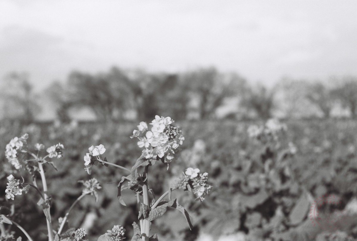 それでは皆さま、おやすみなさいませ(( _ _ ))..zzzZZ