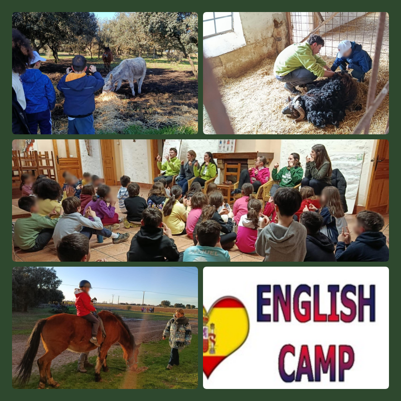 ColeNSVillar's tweet photo. English Camp 4º EP 🇬🇧
Atareadísim@s! Very busy!👩‍🌾👨‍🌾
Great activities.

#LanguageImmersion #bilingüescyl #CentrosEducacyl
@CFPIdiomas @LasCortasdeBlas https://t.co/xcZYw3tcgQ