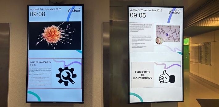 AV_Integracion tweet media