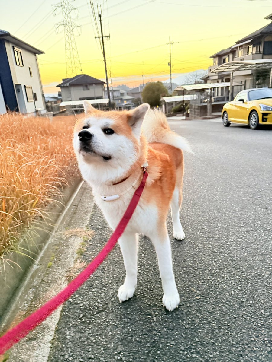 姉姉 (@un84z) / Posts / X