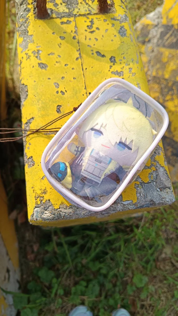 📢找主人！
朋友今天下午在清大看到一隻sonny指娃，不知道有沒有人在找他家遺失的隊長🥺
如果是主人的話這邊會再私訊提供更詳細的地點