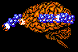 Terrenomic tweet media