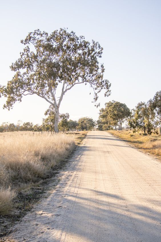 ღℳóทicɑ͜͡❥ tweet media