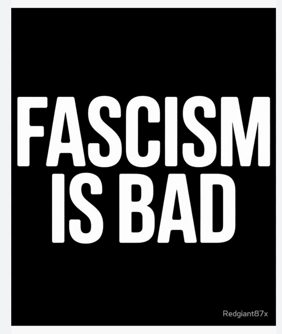 anton newcombe tweet media