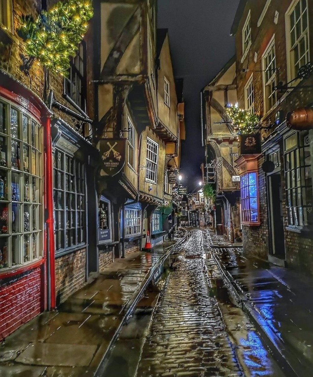 ReNature🦋 tweet media