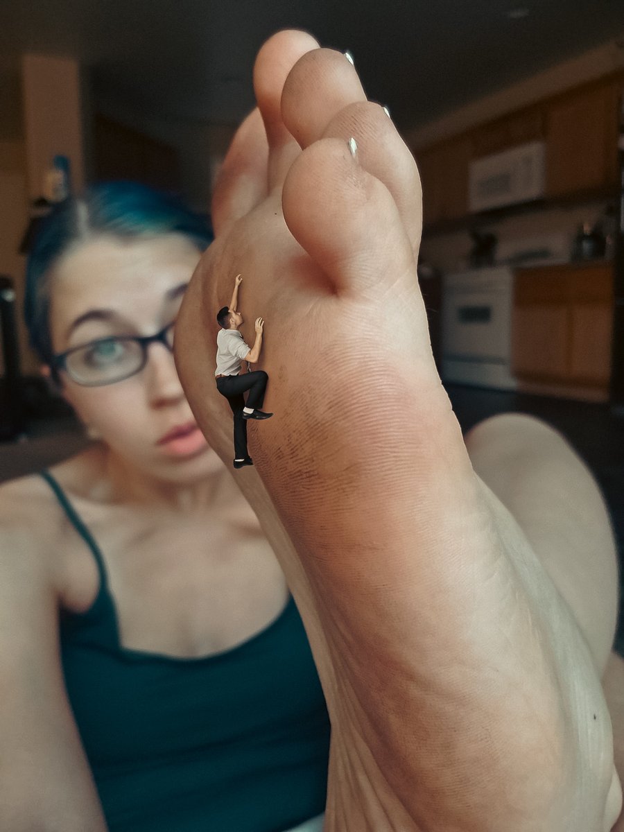 Little Bee 🐝 tweet media