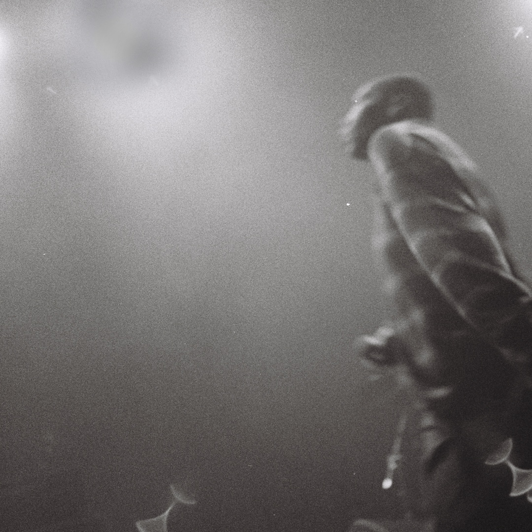 Oslo Hackney tweet media