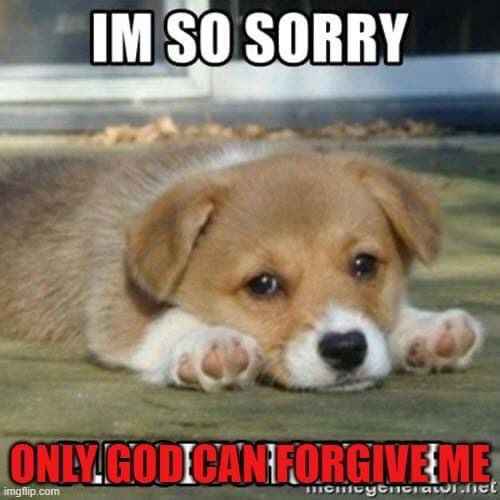 squidyouknow tweet media