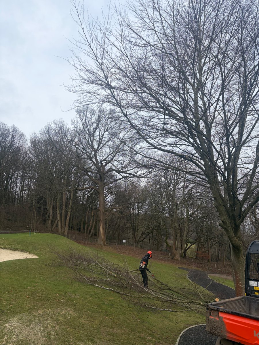 greens_mgc's tweet photo. Week started off with turfing the putting green surrounds along with  new 18th temp green and some turf patching jobs around the course 

Tree work at the 9th 🙌
On course fencing painting 😍
Replacing handrail at the 6th green as-well as badger damage at the 6th🦡 https://t.co/UEWrCOsqlB