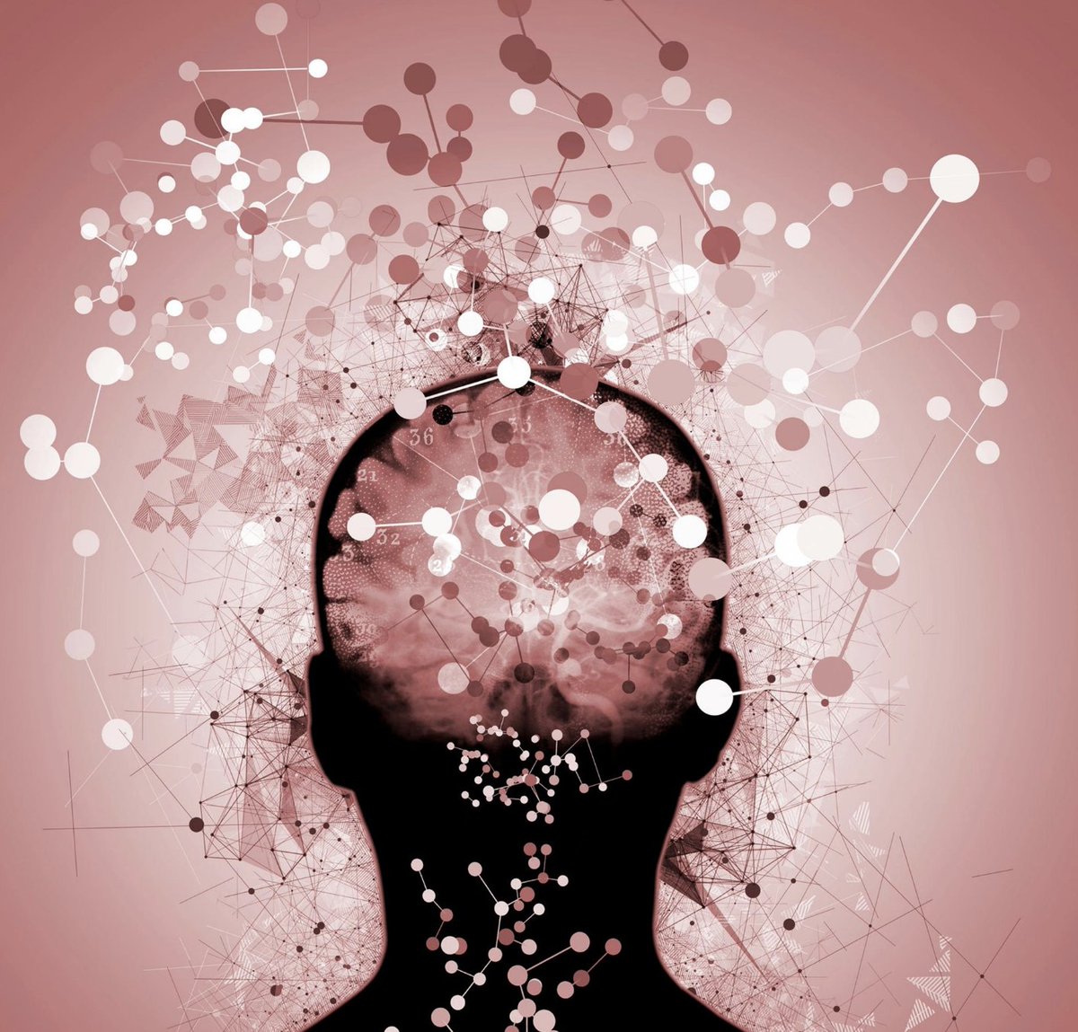 The Integrity Project tweet media