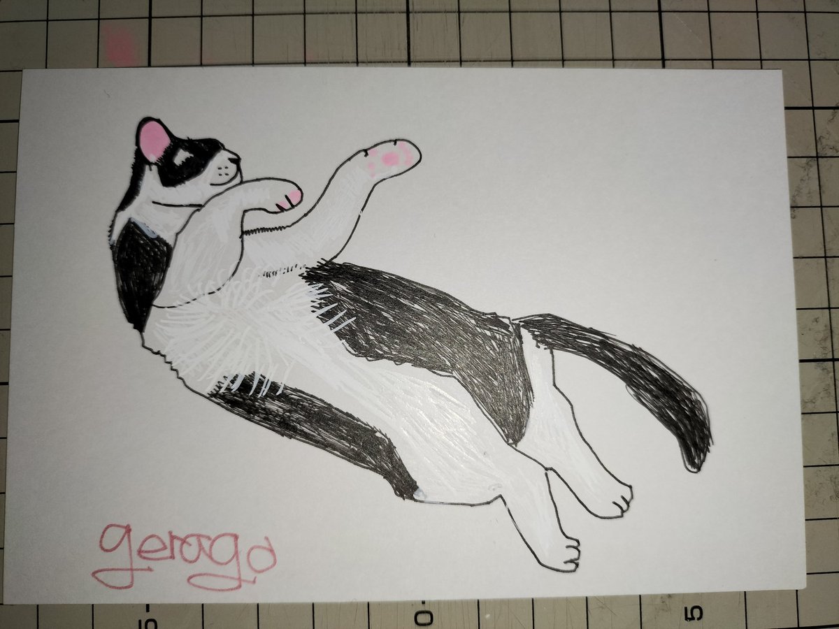 パンゲラゴ山 (@pleios) on Twitter photo 