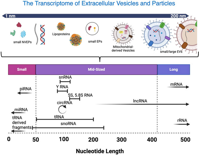 Edgar Gonzalez-Kozlova tweet media