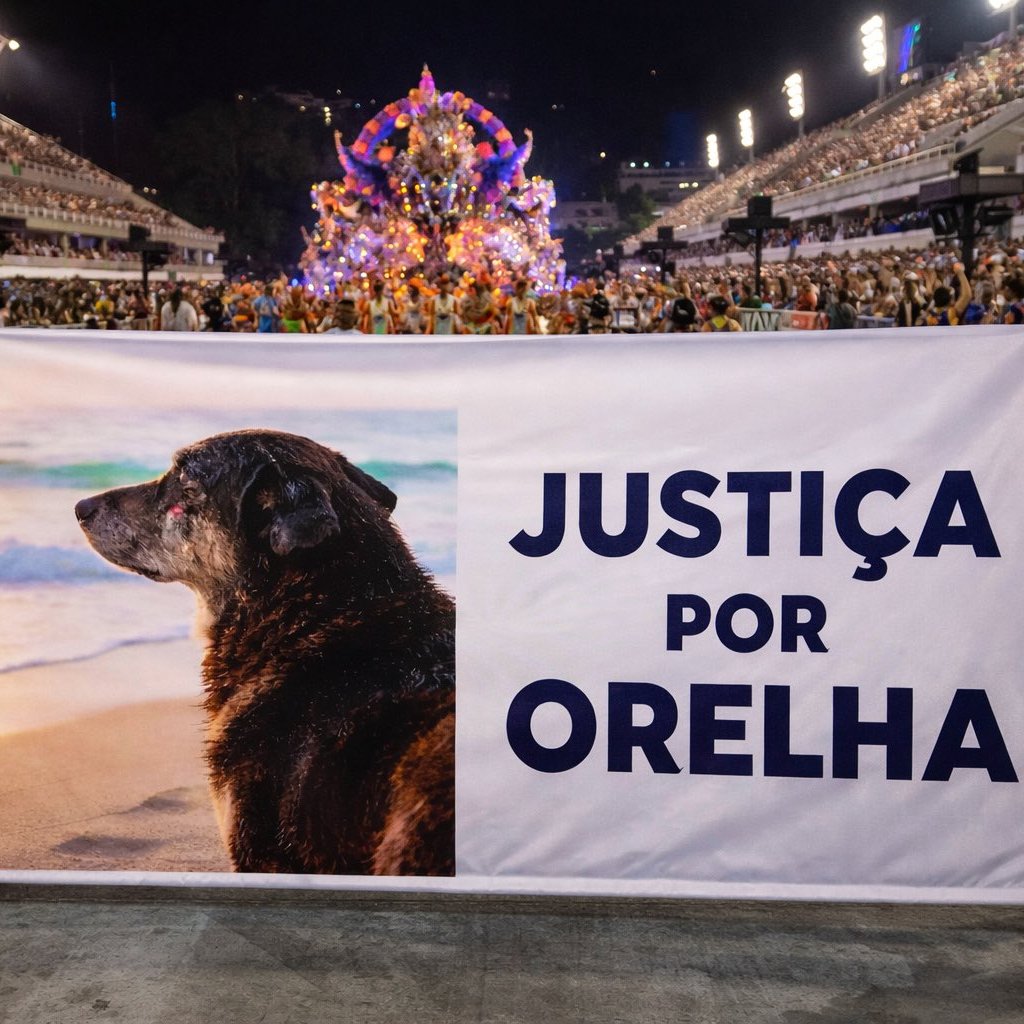 #AppealDontDelete  
#JustiçaPorOrelha 🐶