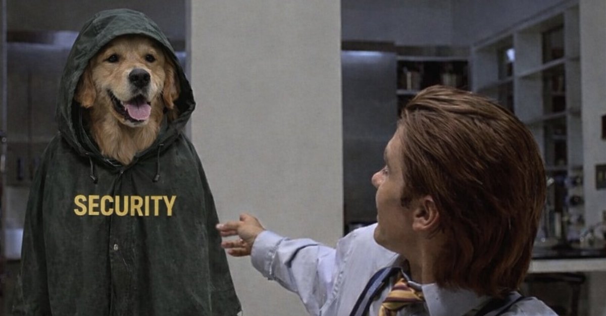 TheRealBarkingPuppy (@barkingpuppy8) on Twitter photo 