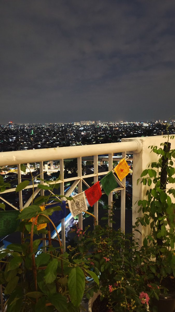 This is the life that I chose -  I'll be just fine 🙇