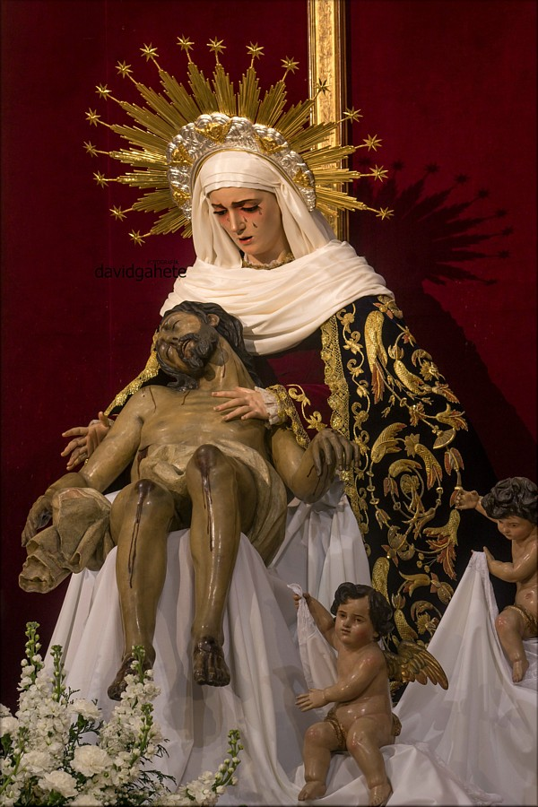 ULTIMA HORA | 🔴La <a href="/SgdaMortaja/">Hdad Sagrada Mortaja</a> inicia los trámites para la coronación canónica de la Virgen de la Piedad

Más información: diariodesevilla.es/semana_santa/m… 

#SSantaSevilla26