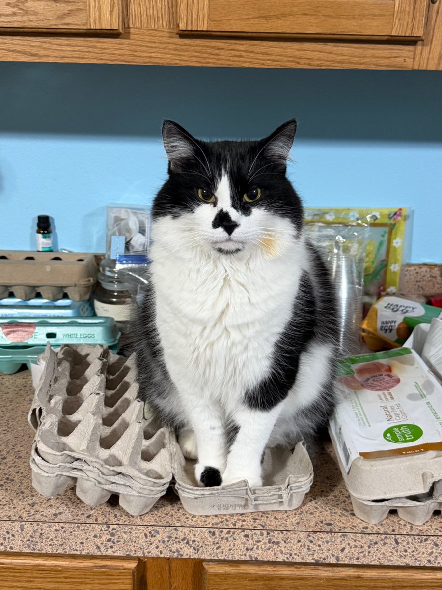 Look, mom, I’m an egg.