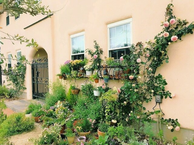 「この賃貸、全部屋かわいくて募集のたびに心惹かれる! 薔薇が伝う外観、アイアンの門」|戸田江美 / デザイナー大家のイラスト