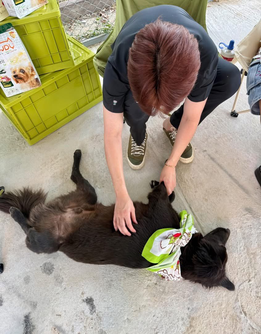 Khamoo.andthegang tweet media