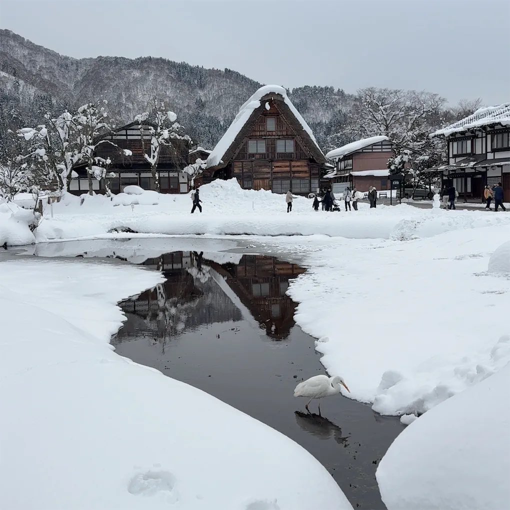 _O818O18's tweet photo. ⛄️ https://t.co/6aZXg5NvOm