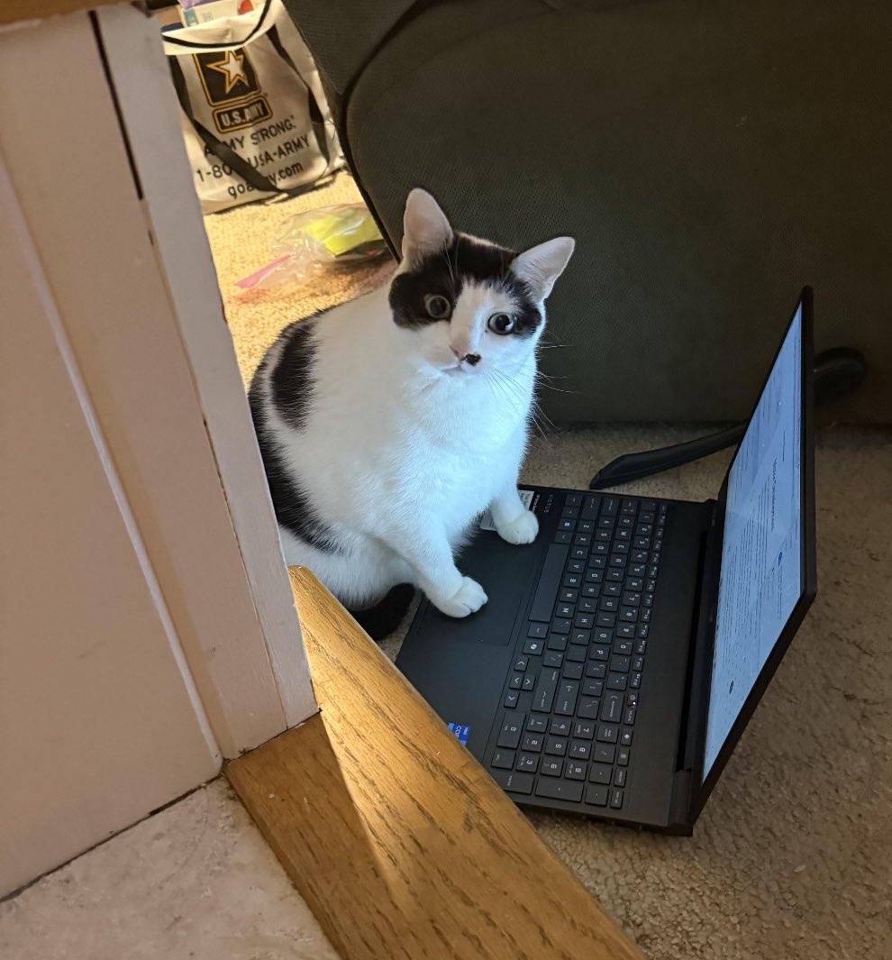 Le acaban de depositar 130 bs x un mes de pensión a una de mis tías 
El dólar 💲 paso ayer de 400 bs
O sea que mi tía recibe 30 centavos de $ dólar por mes
O sea un centavo de dólar diario 📰 
Si ésto no es lesa humanidad no se que sea ...
Gracias por su atención a esta materia