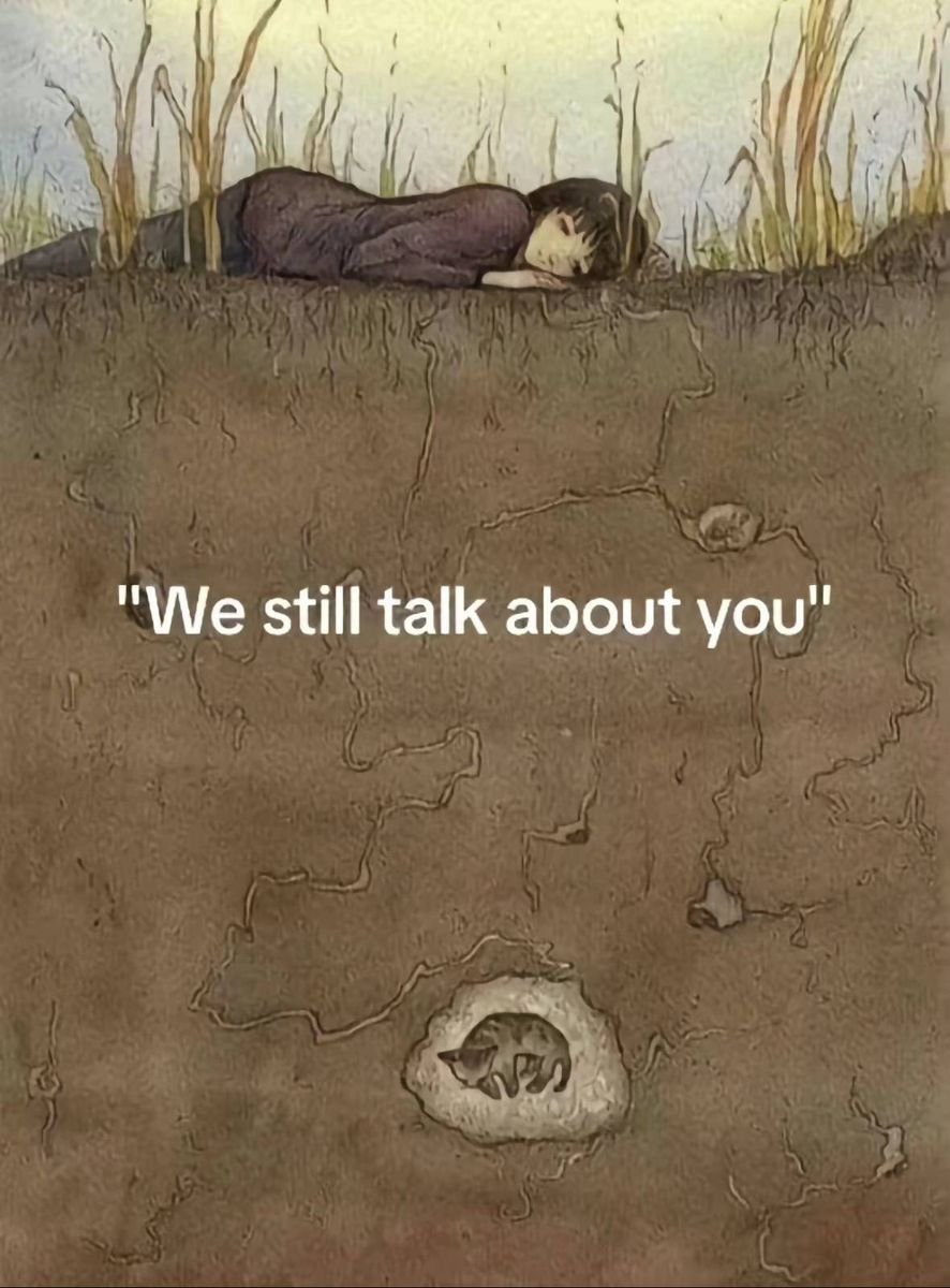 Cat Posted tweet media