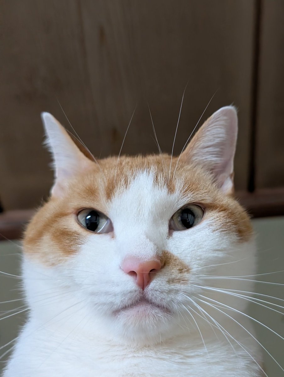 ふみ (@xAzwizeAQXhHvPi) / Posts / X