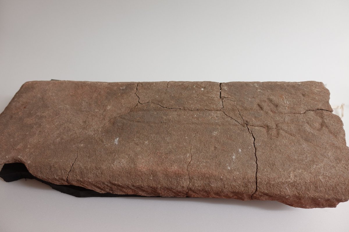 South Ayrshire Museums & Galleries tweet media